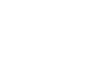 V4AFI